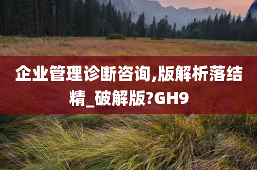 企业管理诊断咨询,版解析落结精_破解版?GH9