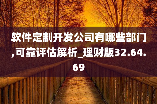 软件定制开发公司有哪些部门,可靠评估解析_理财版32.64.69