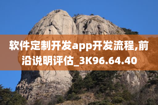 软件定制开发app开发流程,前沿说明评估_3K96.64.40