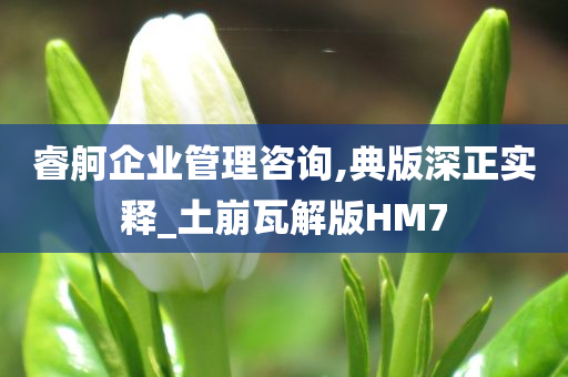 睿舸企业管理咨询,典版深正实释_土崩瓦解版HM7