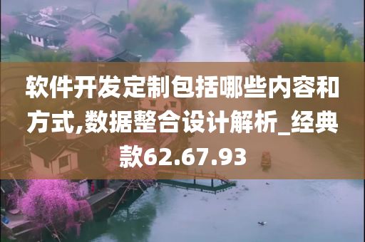 软件开发定制包括哪些内容和方式,数据整合设计解析_经典款62.67.93