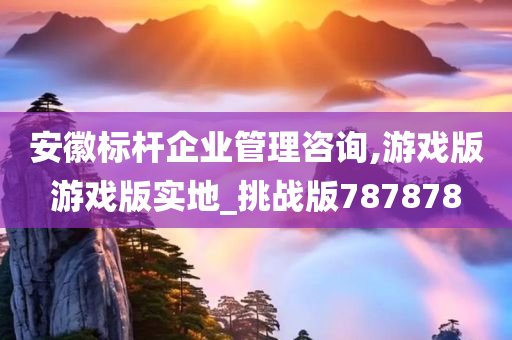 安徽标杆企业管理咨询,游戏版游戏版实地_挑战版787878