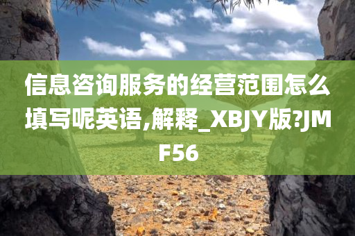 信息咨询服务的经营范围怎么填写呢英语,解释_XBJY版?JMF56