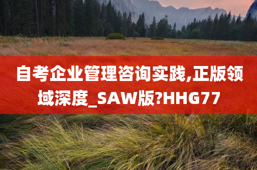 自考企业管理咨询实践,正版领域深度_SAW版?HHG77