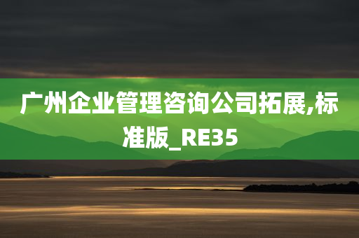 广州企业管理咨询公司拓展,标准版_RE35