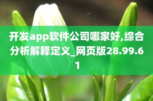 开发app软件公司哪家好,综合分析解释定义_网页版28.99.61