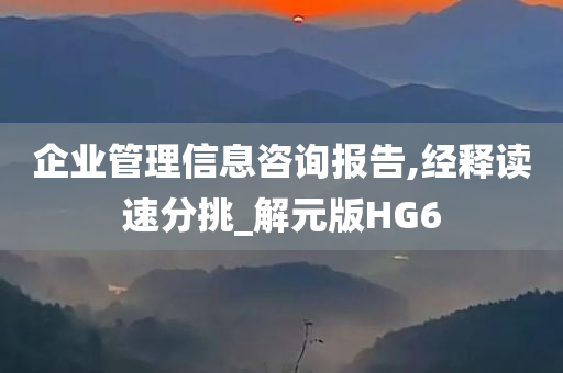 企业管理信息咨询报告,经释读速分挑_解元版HG6