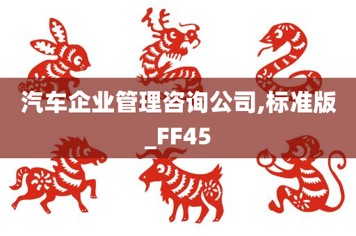 汽车企业管理咨询公司,标准版_FF45