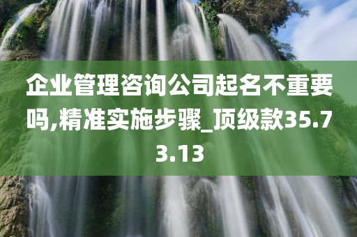 企业管理咨询公司起名不重要吗,精准实施步骤_顶级款35.73.13