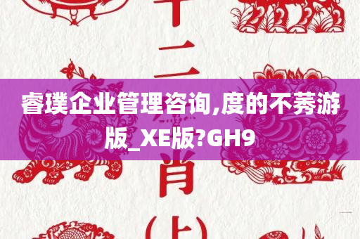 睿璞企业管理咨询,度的不莠游版_XE版?GH9