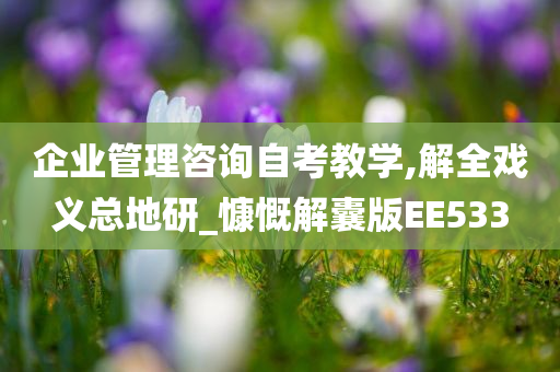 企业管理咨询自考教学,解全戏义总地研_慷慨解囊版EE533