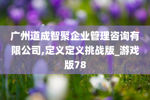 广州道成智聚企业管理咨询有限公司,定义定义挑战版_游戏版78