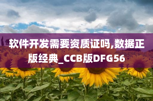 软件开发需要资质证吗,数据正版经典_CCB版DFG56