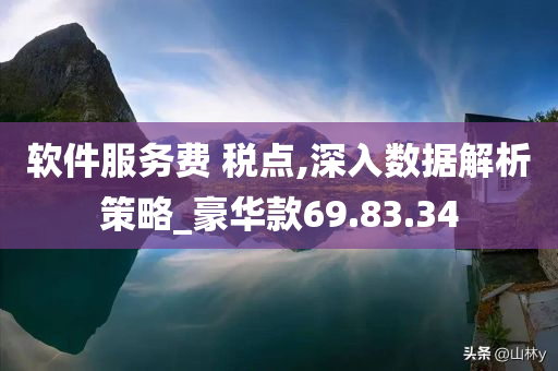 软件服务费 税点,深入数据解析策略_豪华款69.83.34