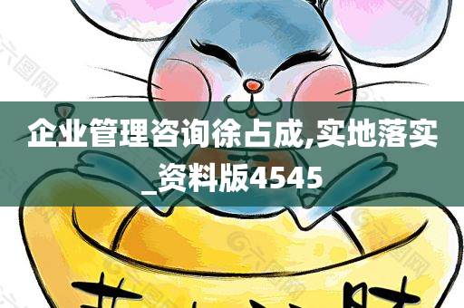 企业管理咨询徐占成,实地落实_资料版4545