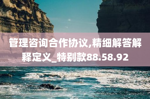 管理咨询合作协议,精细解答解释定义_特别款88.58.92