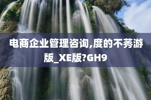 电商企业管理咨询,度的不莠游版_XE版?GH9