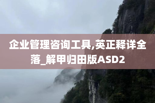 企业管理咨询工具,英正释详全落_解甲归田版ASD2