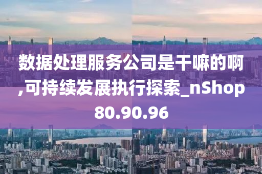 数据处理服务公司是干嘛的啊,可持续发展执行探索_nShop80.90.96