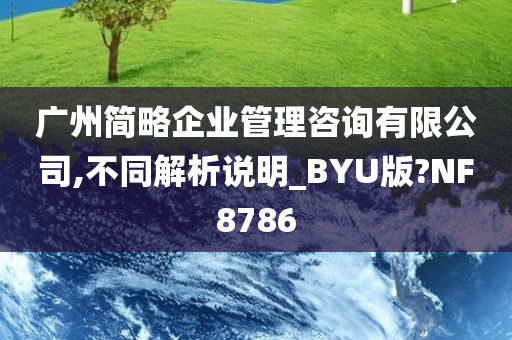 广州简略企业管理咨询有限公司,不同解析说明_BYU版?NF8786