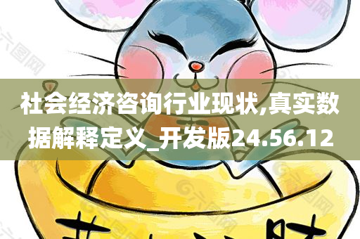 社会经济咨询行业现状,真实数据解释定义_开发版24.56.12