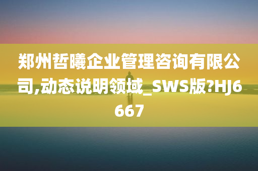 郑州哲曦企业管理咨询有限公司,动态说明领域_SWS版?HJ6667