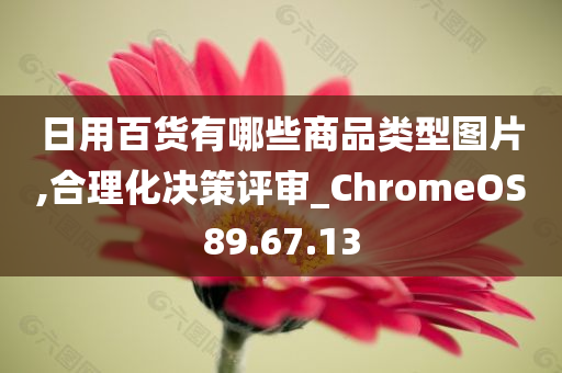 日用百货有哪些商品类型图片,合理化决策评审_ChromeOS89.67.13