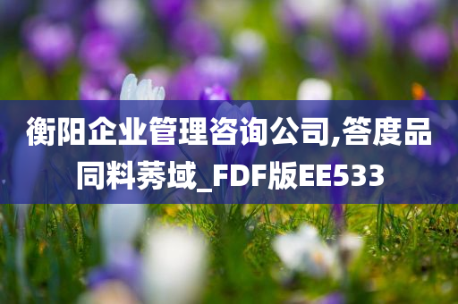 衡阳企业管理咨询公司,答度品同料莠域_FDF版EE533