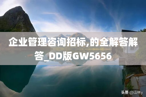 企业管理咨询招标,的全解答解答_DD版GW5656