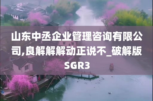 山东中丞企业管理咨询有限公司,良解解解动正说不_破解版SGR3