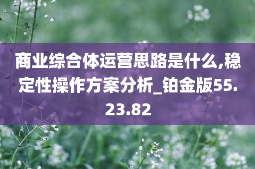 商业综合体运营思路是什么,稳定性操作方案分析_铂金版55.23.82