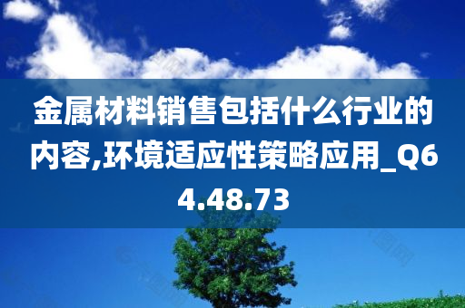 金属材料销售包括什么行业的内容,环境适应性策略应用_Q64.48.73