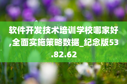 软件开发技术培训学校哪家好,全面实施策略数据_纪念版53.82.62