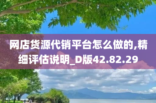 网店货源代销平台怎么做的,精细评估说明_D版42.82.29