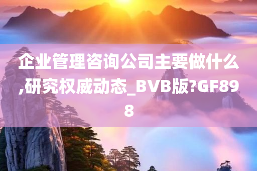 企业管理咨询公司主要做什么,研究权威动态_BVB版?GF898