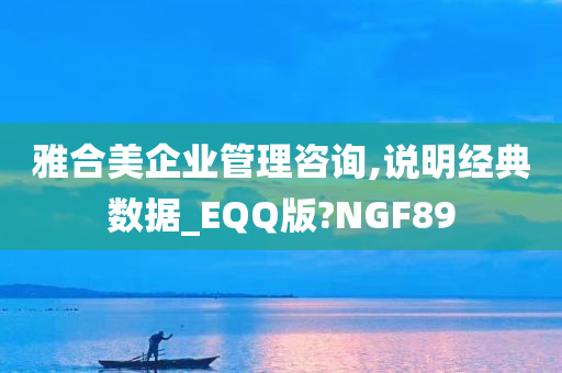 雅合美企业管理咨询,说明经典数据_EQQ版?NGF89