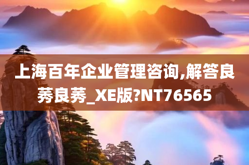 上海百年企业管理咨询,解答良莠良莠_XE版?NT76565