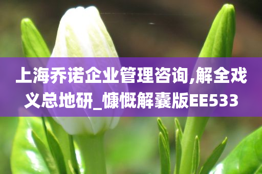 上海乔诺企业管理咨询,解全戏义总地研_慷慨解囊版EE533