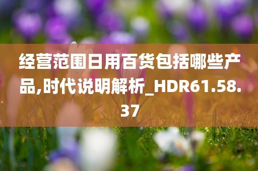 经营范围日用百货包括哪些产品,时代说明解析_HDR61.58.37