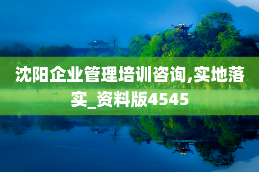 沈阳企业管理培训咨询,实地落实_资料版4545