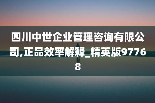 四川中世企业管理咨询有限公司,正品效率解释_精英版97768