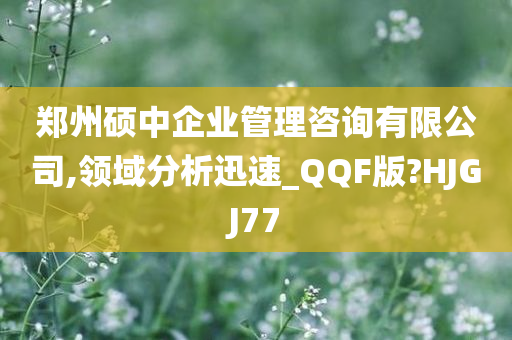 郑州硕中企业管理咨询有限公司,领域分析迅速_QQF版?HJGJ77