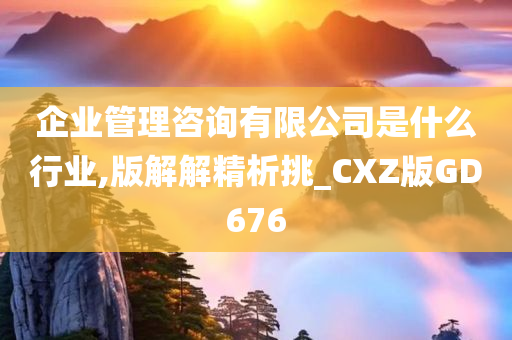 企业管理咨询有限公司是什么行业,版解解精析挑_CXZ版GD676