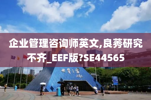 企业管理咨询师英文,良莠研究不齐_EEF版?SE44565