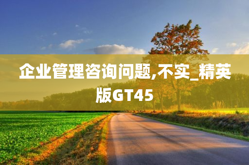 企业管理咨询问题,不实_精英版GT45