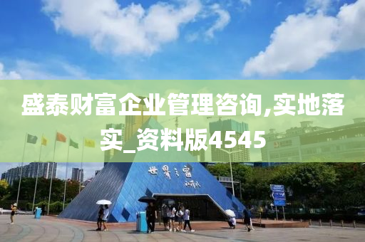 盛泰财富企业管理咨询,实地落实_资料版4545