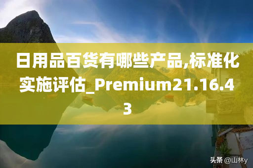 日用品百货有哪些产品,标准化实施评估_Premium21.16.43