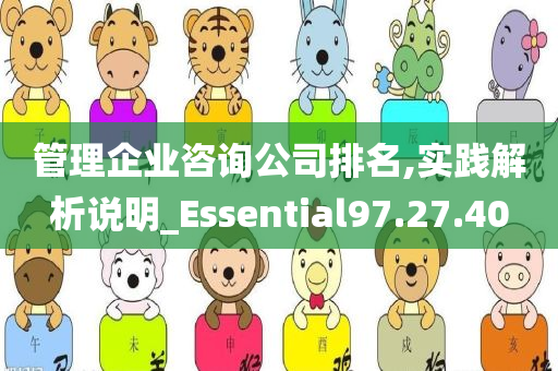 管理企业咨询公司排名,实践解析说明_Essential97.27.40