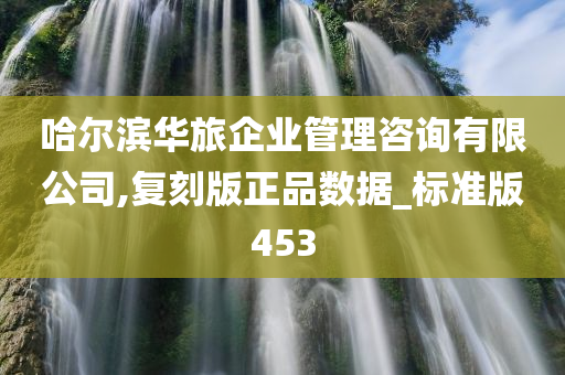 哈尔滨华旅企业管理咨询有限公司,复刻版正品数据_标准版453