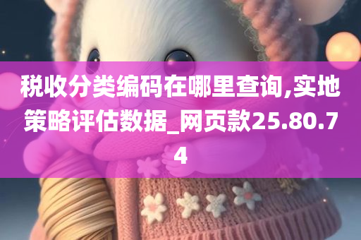 税收分类编码在哪里查询,实地策略评估数据_网页款25.80.74